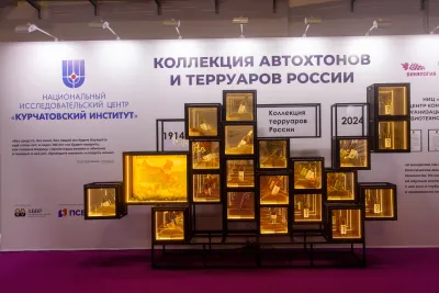 Выставочный стенд Винология на выставке Конгресс молодых учёных 2024, Сочи, 2024 — фото 4